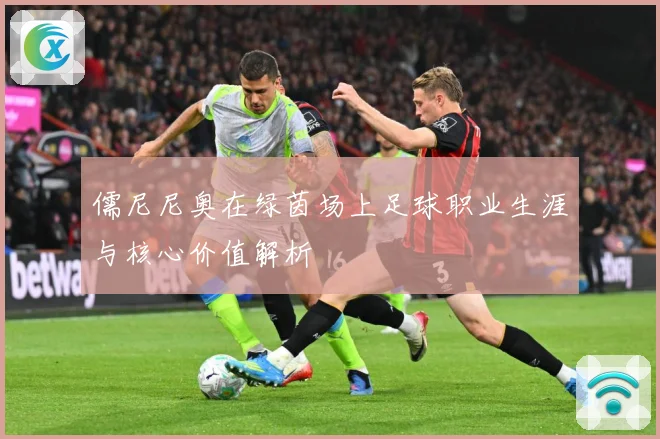 儒尼尼奥在绿茵场上足球职业生涯与核心价值解析