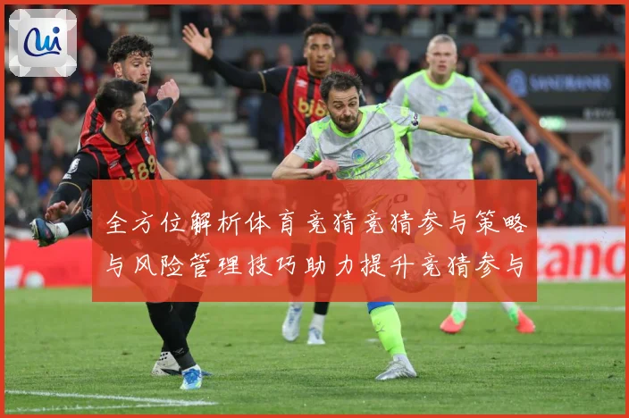 全方位解析体育竞猜竞猜参与策略与风险管理技巧助力提升竞猜参与数据研判