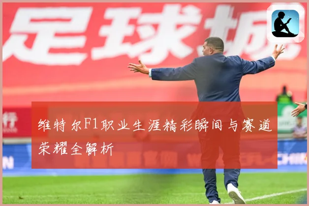 维特尔F1职业生涯精彩瞬间与赛道荣耀全解析